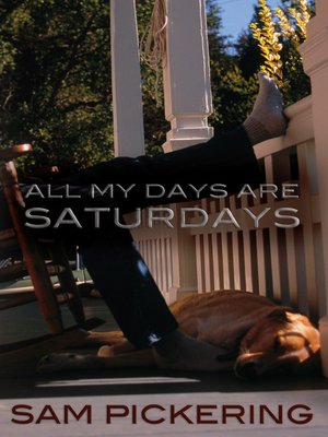 cover image of All My Days Are Saturdays